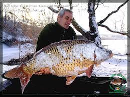 altele - images.jpeg